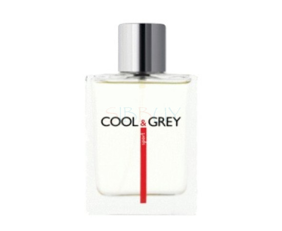 Купить Аромат Dilis Parfum Cool & Grey Sport Туалетная вода