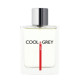 Купить Аромат Dilis Parfum Cool & Grey Sport Туалетная вода