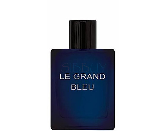 Купить Аромат Dilis Parfum Le Grand Bleu Туалетная вода