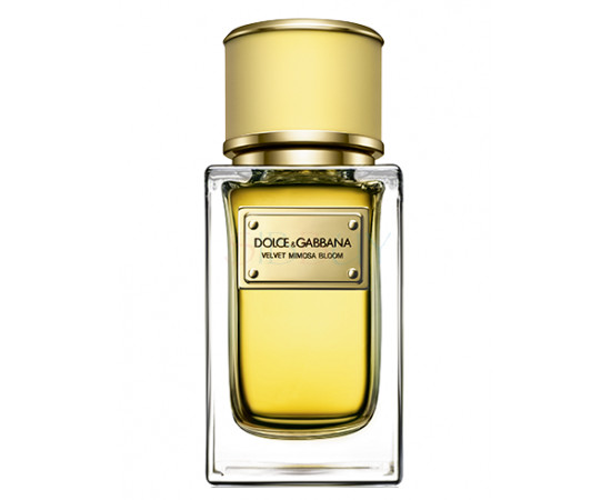 Купить Аромат Dolce & Gabbana Velvet Mimosa Bloom Парфюмерная вода