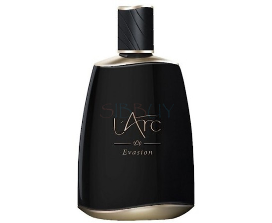 Купить Аромат L'Arc Parfums Evasion Digo de Havane Парфюмерная вода
