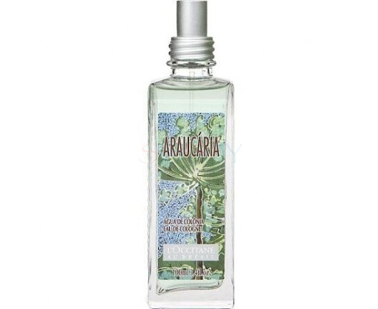 Купить Аромат L`Occitane en Provence Araucaria Одеколон