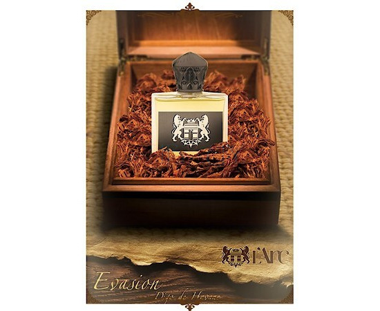Купить Аромат L'Arc Parfums Evasion Digo de Havane Парфюмерная вода