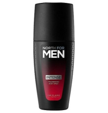 Аромат Oriflame North for Men Intense Ароматная дымка