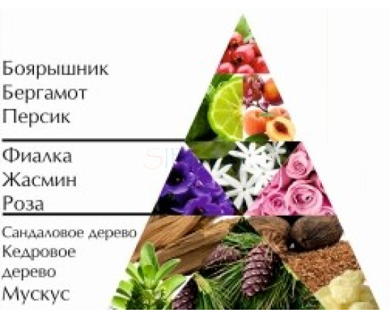 Купить Аромат Новая Заря Цветочный Одеколон