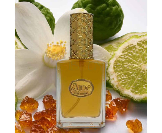 Купить Аромат Ajne Carmel Bloom de Nuit Духи / Экстракт