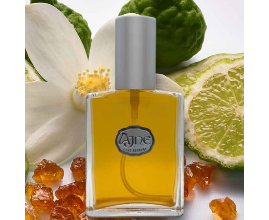 Купить Аромат Ajne Carmel Bloom de Nuit Духи / Экстракт