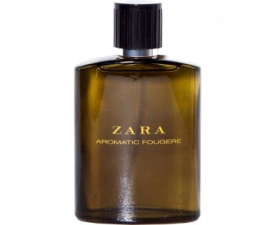 Купить Аромат Zara Aromatic Fougere