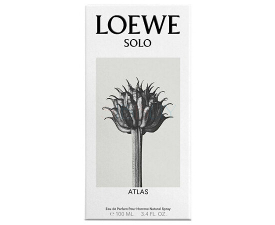 Купить Аромат Loewe Solo Atlas Парфюмерная вода
