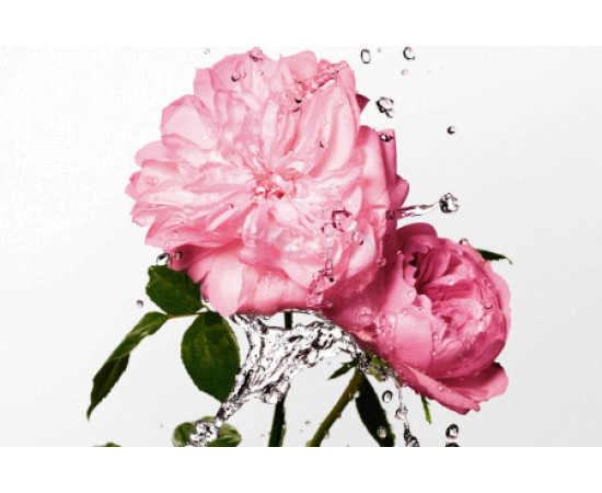 Купить Аромат Dior Miss Dior Rose Essence Туалетная вода