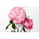 Купить Аромат Dior Miss Dior Rose Essence Туалетная вода