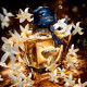 Купить Аромат Guerlain Shalimar Millesime Jasmin Парфюмерная вода