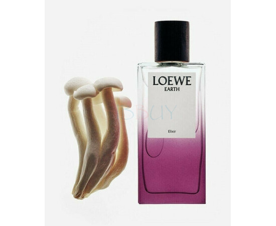 Купить Аромат Loewe Earth Elixir Парфюмерная вода
