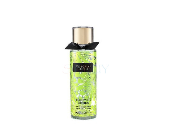 Купить Аромат Victoria's Secret Blooming Citrus Ароматная дымка
