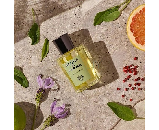 Купить недорого Аромат Acqua di Parma Colonia Futura Одеколон