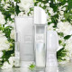 Купить недорого Аромат Avon Pur Blanca Туалетная вода