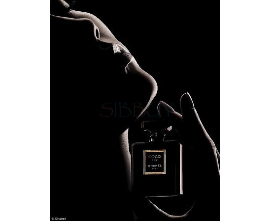 Купить недорого Аромат Chanel Coco Noir Парфюмерная вода