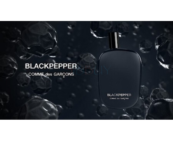 Купить недорого Аромат Comme des Garçons Parfums Blackpepper Парфюмерная вода