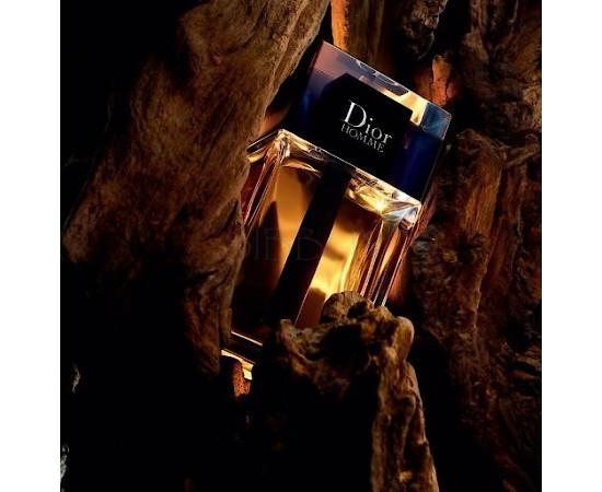 Купить недорого Аромат Dior Dior Homme 2020 Туалетная вода