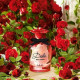 Купить недорого Аромат Dolce & Gabbana Dolce Rose Туалетная вода