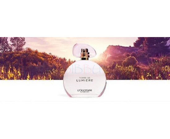 Купить недорого Аромат L`Occitane en Provence Terre de Lumiere L`Eau Туалетная вода