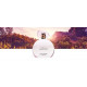Купить недорого Аромат L`Occitane en Provence Terre de Lumiere L`Eau Туалетная вода