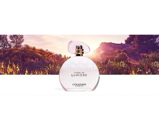 Купить недорого Аромат L`Occitane en Provence Terre de Lumiere L`Eau Туалетная вода