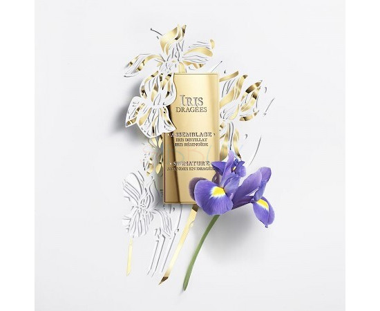 Купить недорого Аромат Lancôme Iris Dragees Парфюмерная вода