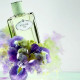 Купить недорого Аромат Prada Infusion dIris (2015) Парфюмерная вода