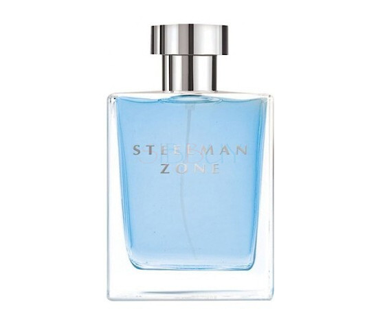 Купить Аромат Dilis Parfum Steelman Zone Туалетная вода