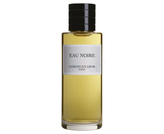 Купить Аромат Dior Eau Noire 2022 Парфюмерная вода