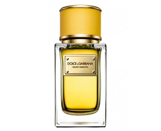 Купить Аромат Dolce & Gabbana Velvet Ginestra Парфюмерная вода