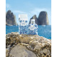 Купить Аромат Dolce & Gabbana Light Blue Summer Vibes Туалетная вода
