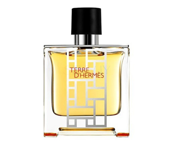 Купить Аромат Hermès Terre d'Hermes flacon H 2013 Туалетная вода