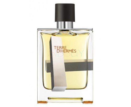 Купить Аромат Hermès Terre d'Hermes Perspective Туалетная вода