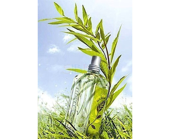 Купить Аромат L`Occitane en Provence Verbena Sun Туалетная вода