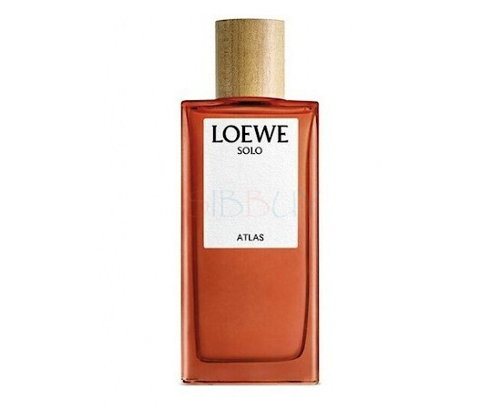 Купить Аромат Loewe Solo Atlas Парфюмерная вода