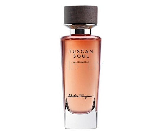 Купить Аромат Salvatore Ferragamo La Commedia Туалетная вода