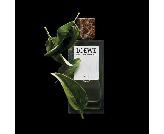 Купить Аромат Loewe Prado Парфюмерная вода