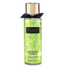 Аромат Victoria's Secret Blooming Citrus Ароматная дымка