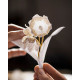Купить Аромат Dior Les Recoltes Majeures Le Muguet Духи / Экстракт