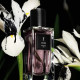 Купить Аромат Yves Saint Laurent Muse Парфюмерная вода