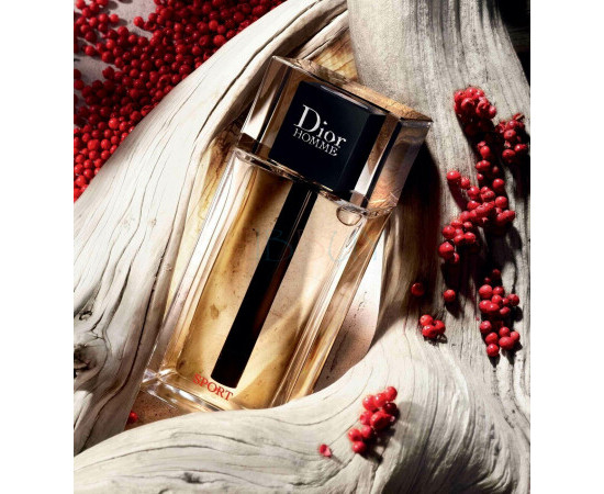 Купить Аромат Dior Dior Homme Sport 2021 Туалетная вода