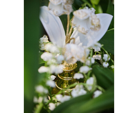 Купить Аромат Dior Les Recoltes Majeures Le Muguet Духи / Экстракт