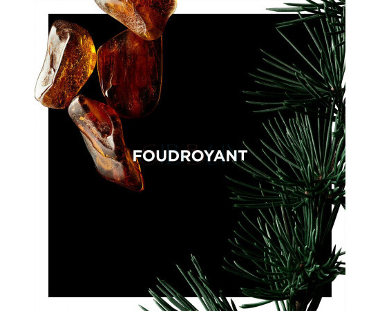 Купить Аромат Givenchy Foudroyant Парфюмерная вода