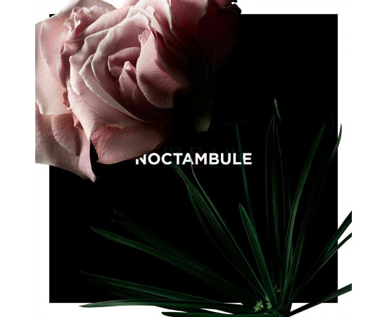 Купить Аромат Givenchy Noctambule Парфюмерная вода