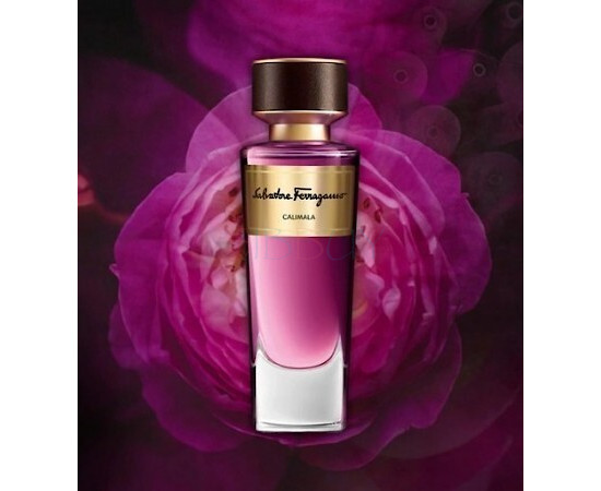 Купить Аромат Salvatore Ferragamo Calimala Парфюмерная вода