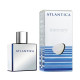 Купить Аромат Dilis Parfum Atlantica Mercury Туалетная вода
