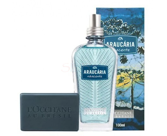 Купить Аромат L`Occitane en Provence Araucária Nascente Одеколон