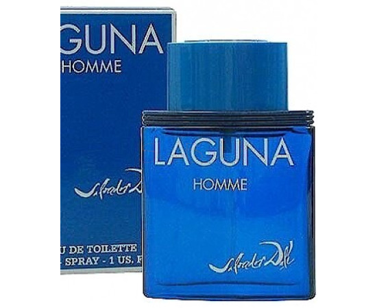 Купить Аромат Salvador Dali Laguna Homme Туалетная вода